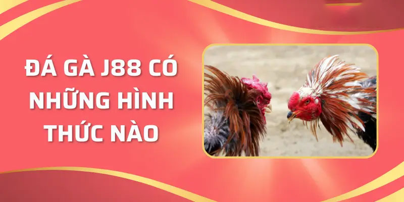 Các kiểu được cược tại J88 đá gà dành cho kê thủ là gì?