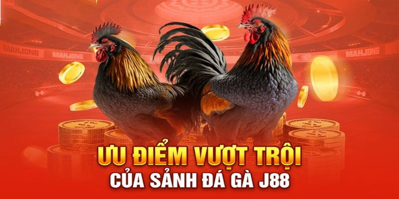 Sân Chơi Đá Gà J88 có thực sự An Toàn hay không?